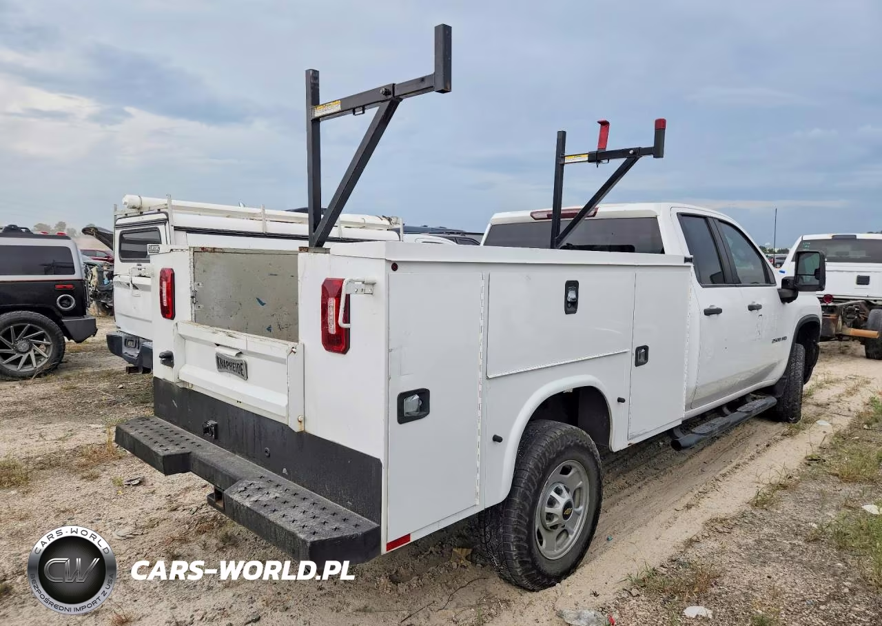 2020 Chevrolet Silverado C2500 Heavy Duty VIN:1GB2WLE76LF233739 - 3