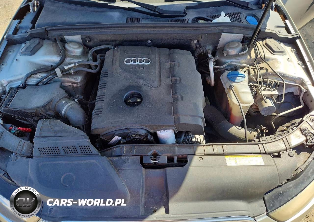 2014 Audi A4 Premium VIN:WAUBFAFL8EN037206 - 11