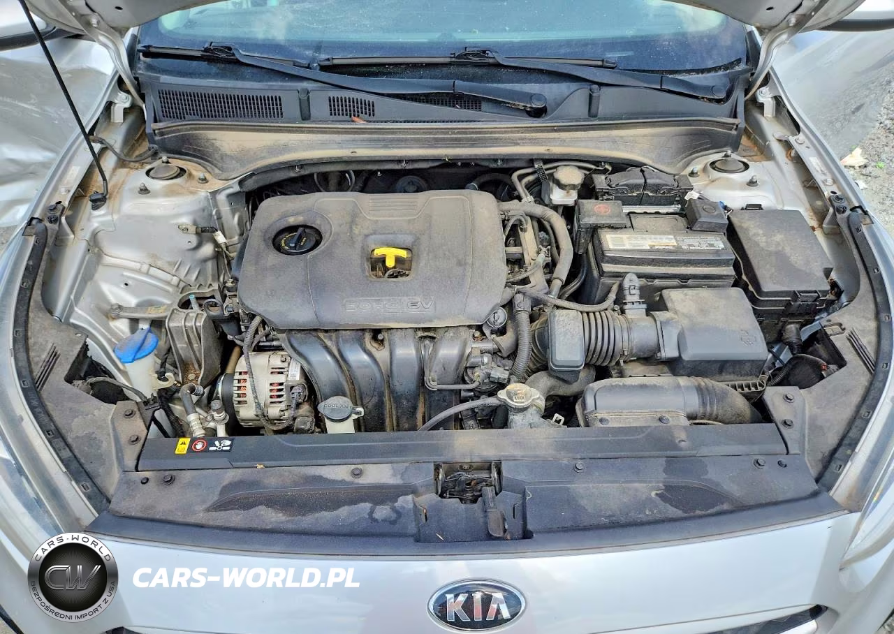 2019 Kia Forte Lxs VIN:3KPF24AD6KE010474 - 11