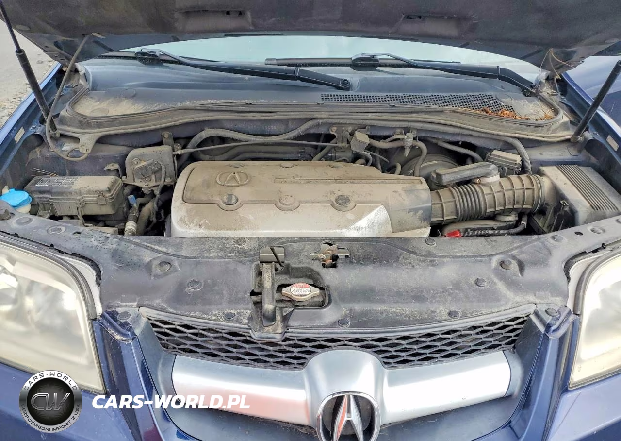 2004 Acura Mdx Touring VIN:2HNYD18894H520264 - 12