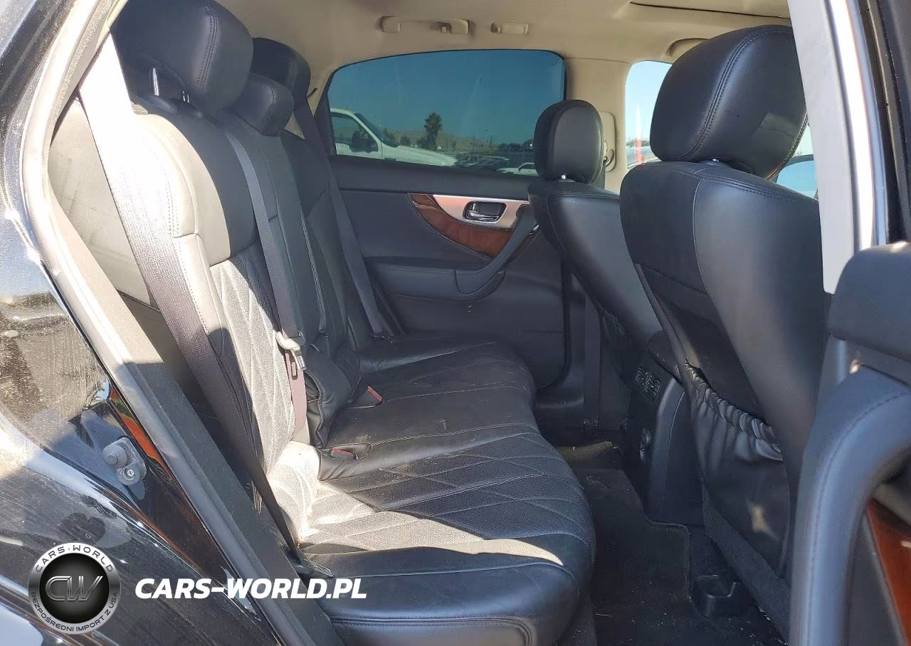 2010 Infiniti Fx50 Base VIN:JN8BS1MW8AM830196 - 10