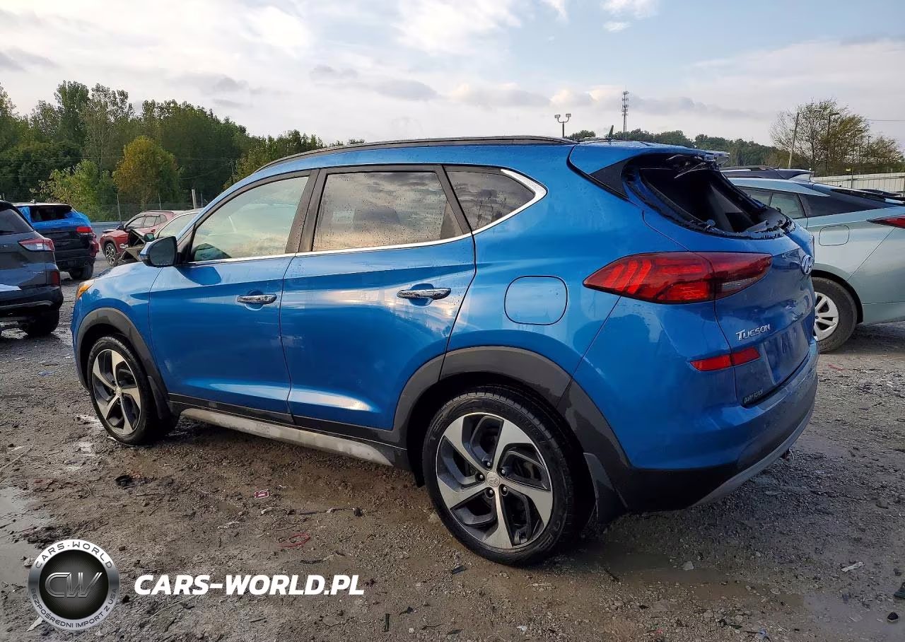 2020 Hyundai Tucson Ultimate VIN:KM8J3CALXLU102209 - 2