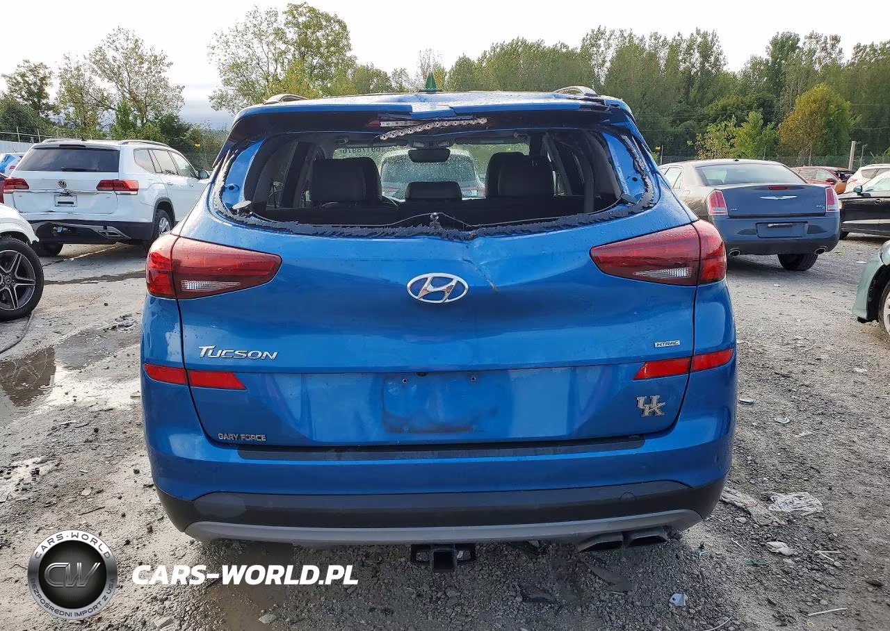 2020 Hyundai Tucson Ultimate VIN:KM8J3CALXLU102209 - 6
