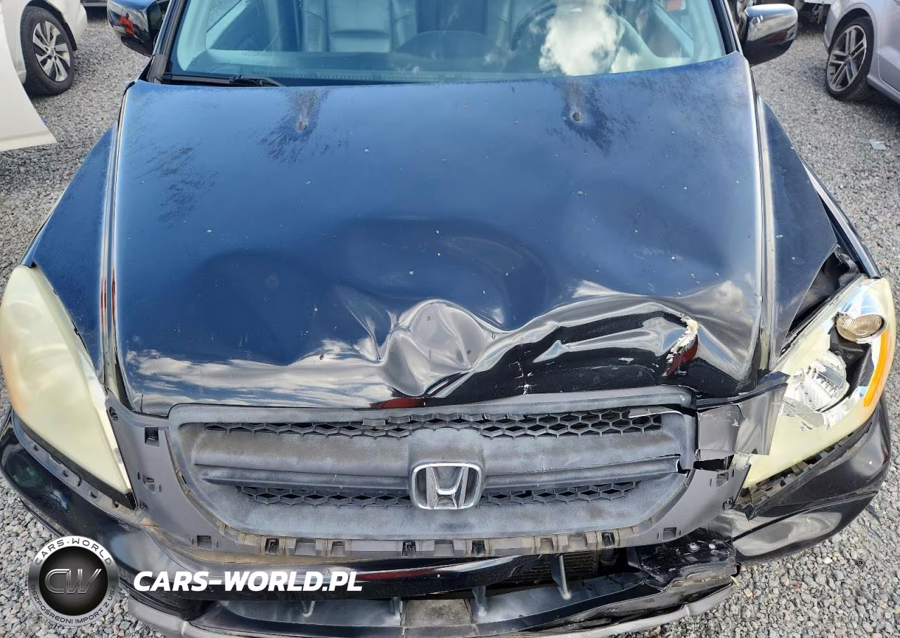 2005 Honda Pilot Exl VIN:5FNYF18545B029694 - 12