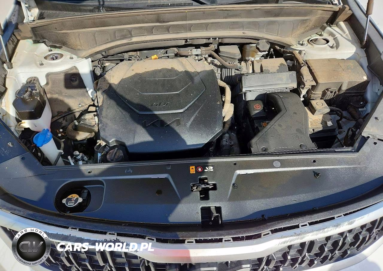 2023 Kia Telluride Ex VIN:5XYP34GC7PG327982 - 12