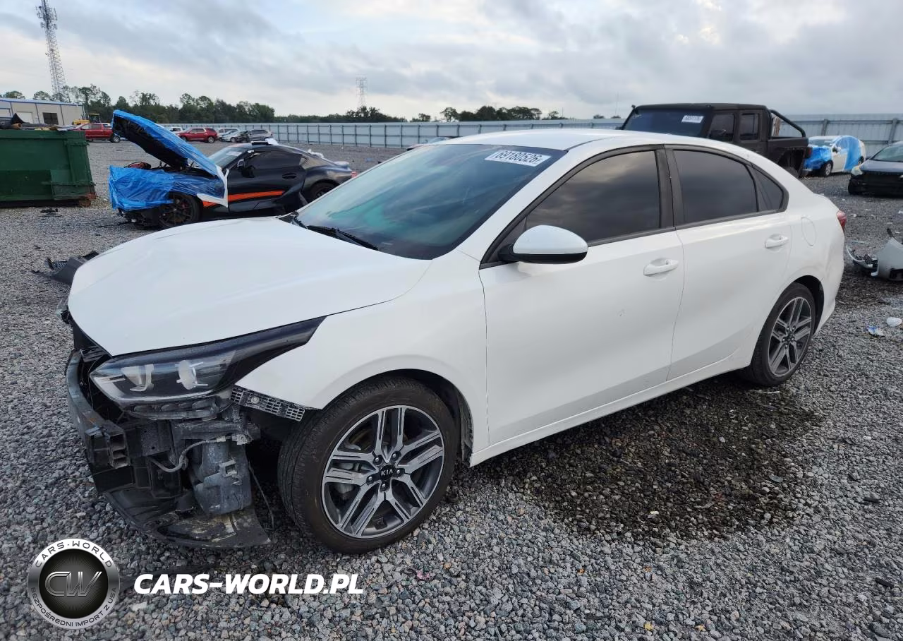 2019 Kia Forte Fe