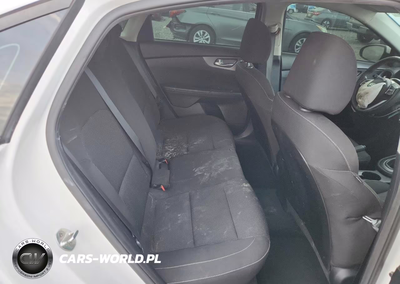 2019 Kia Forte Fe VIN:3KPF24AD1KE072994 - 10