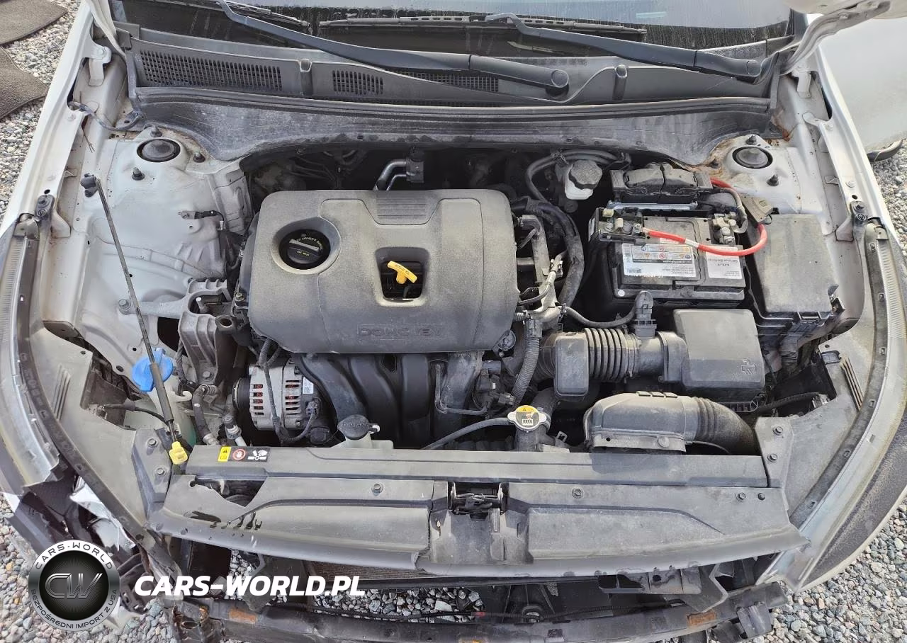 2019 Kia Forte Fe VIN:3KPF24AD1KE072994 - 11