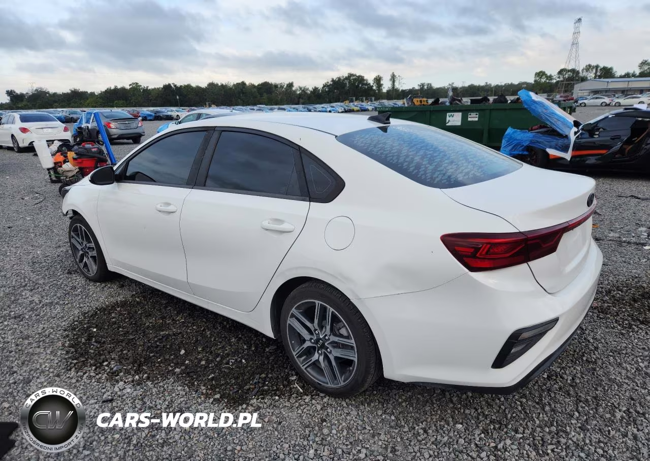 2019 Kia Forte Fe VIN:3KPF24AD1KE072994 - 2