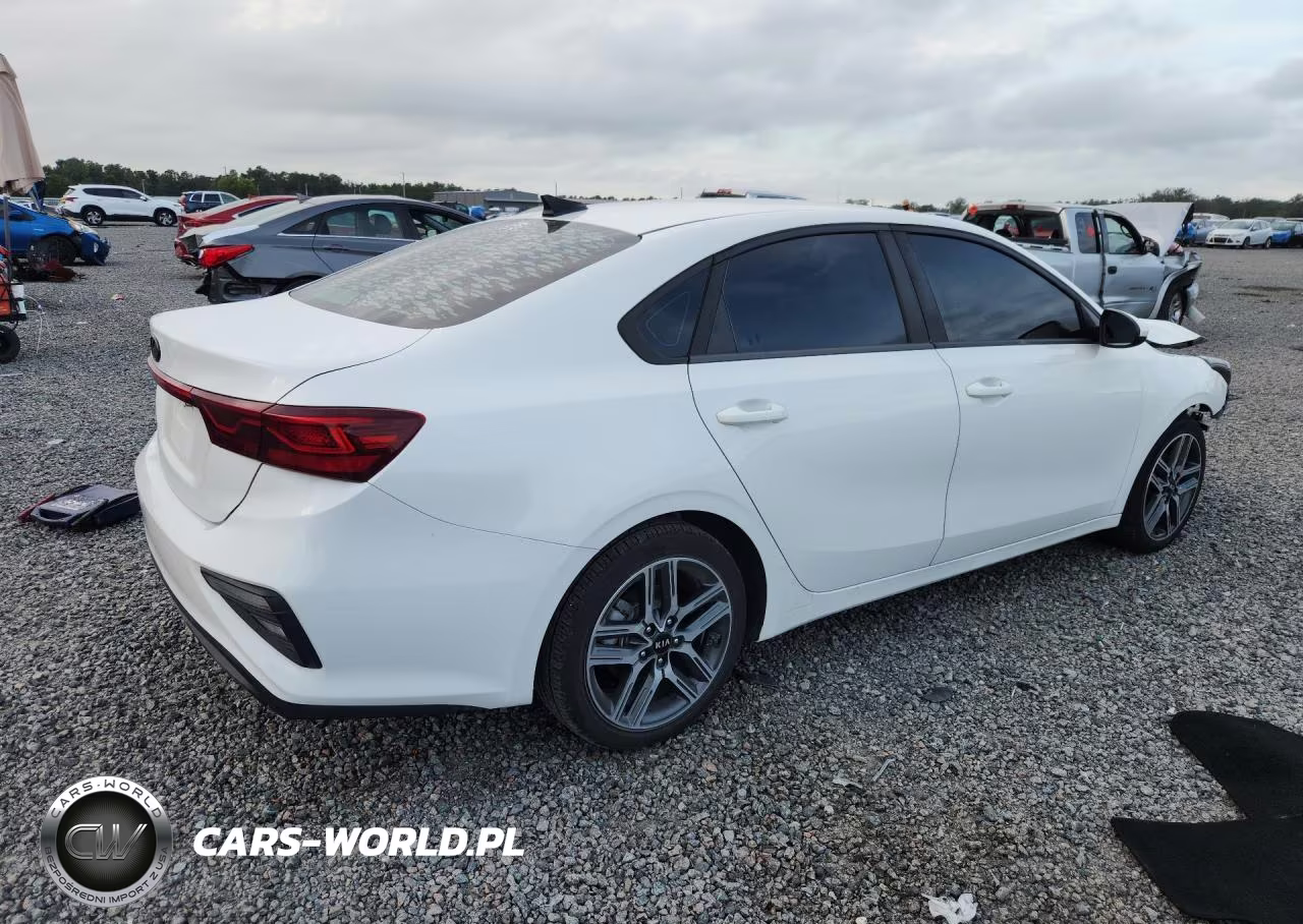 2019 Kia Forte Fe VIN:3KPF24AD1KE072994 - 3