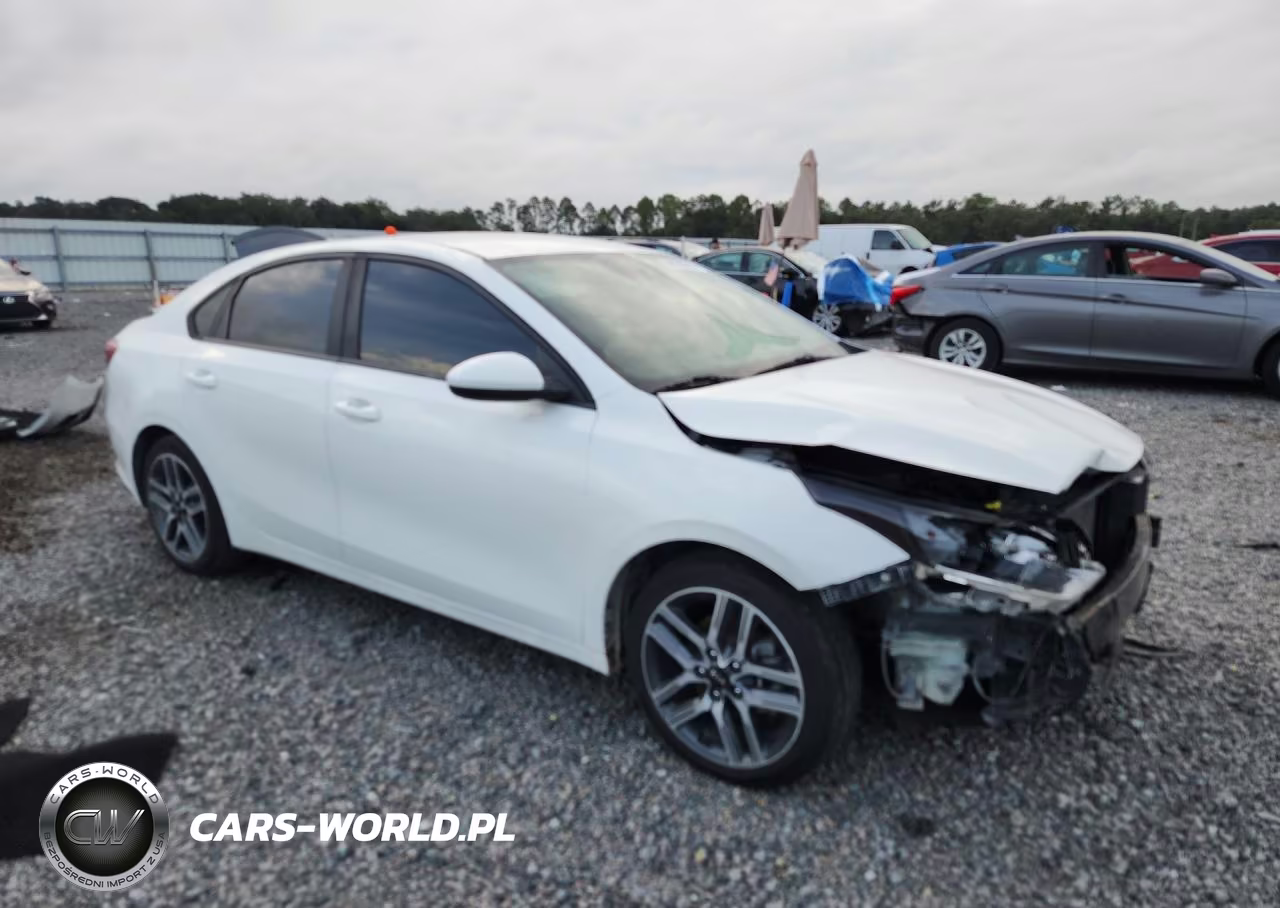 2019 Kia Forte Fe VIN:3KPF24AD1KE072994 - 4