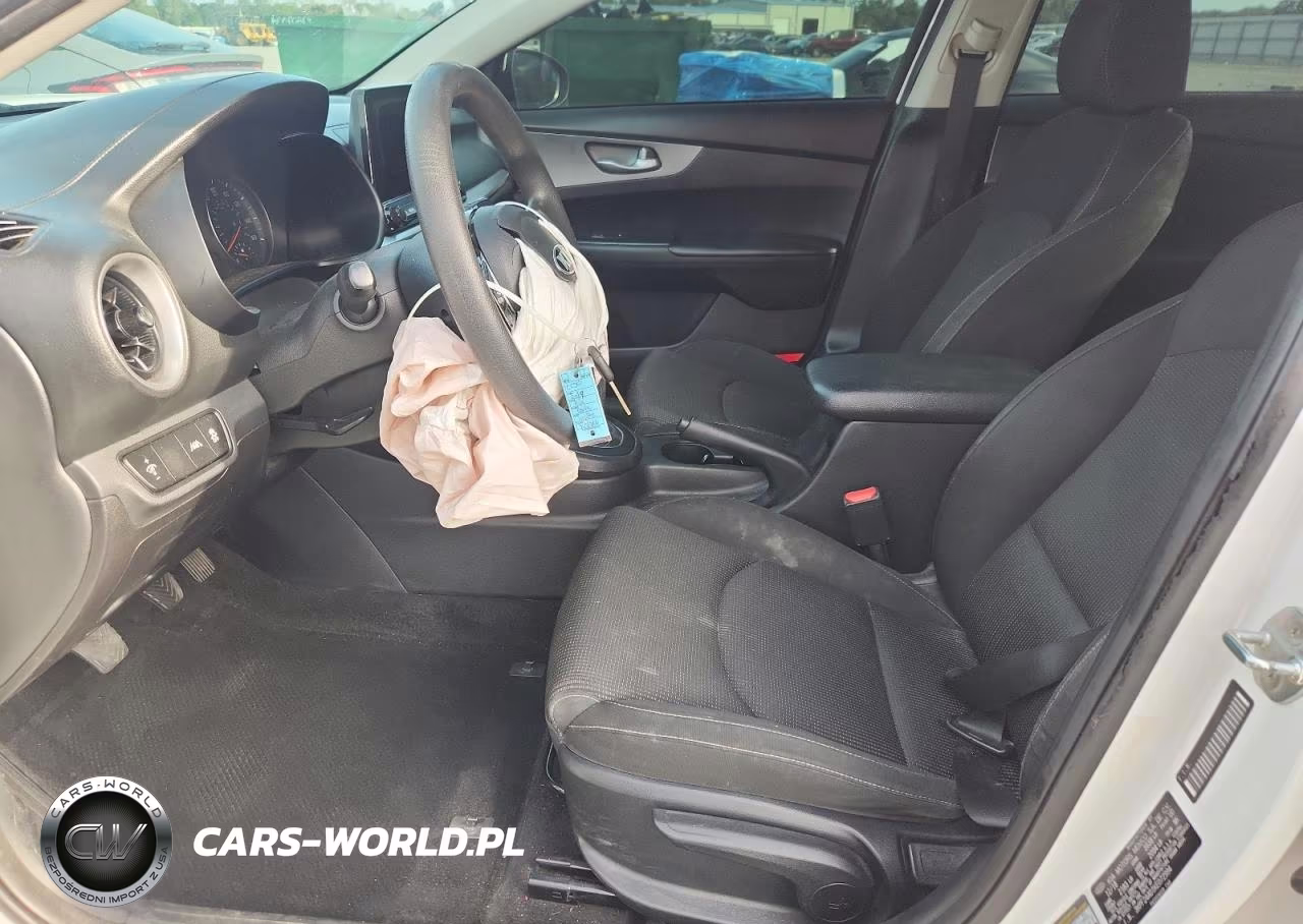 2019 Kia Forte Fe VIN:3KPF24AD1KE072994 - 7
