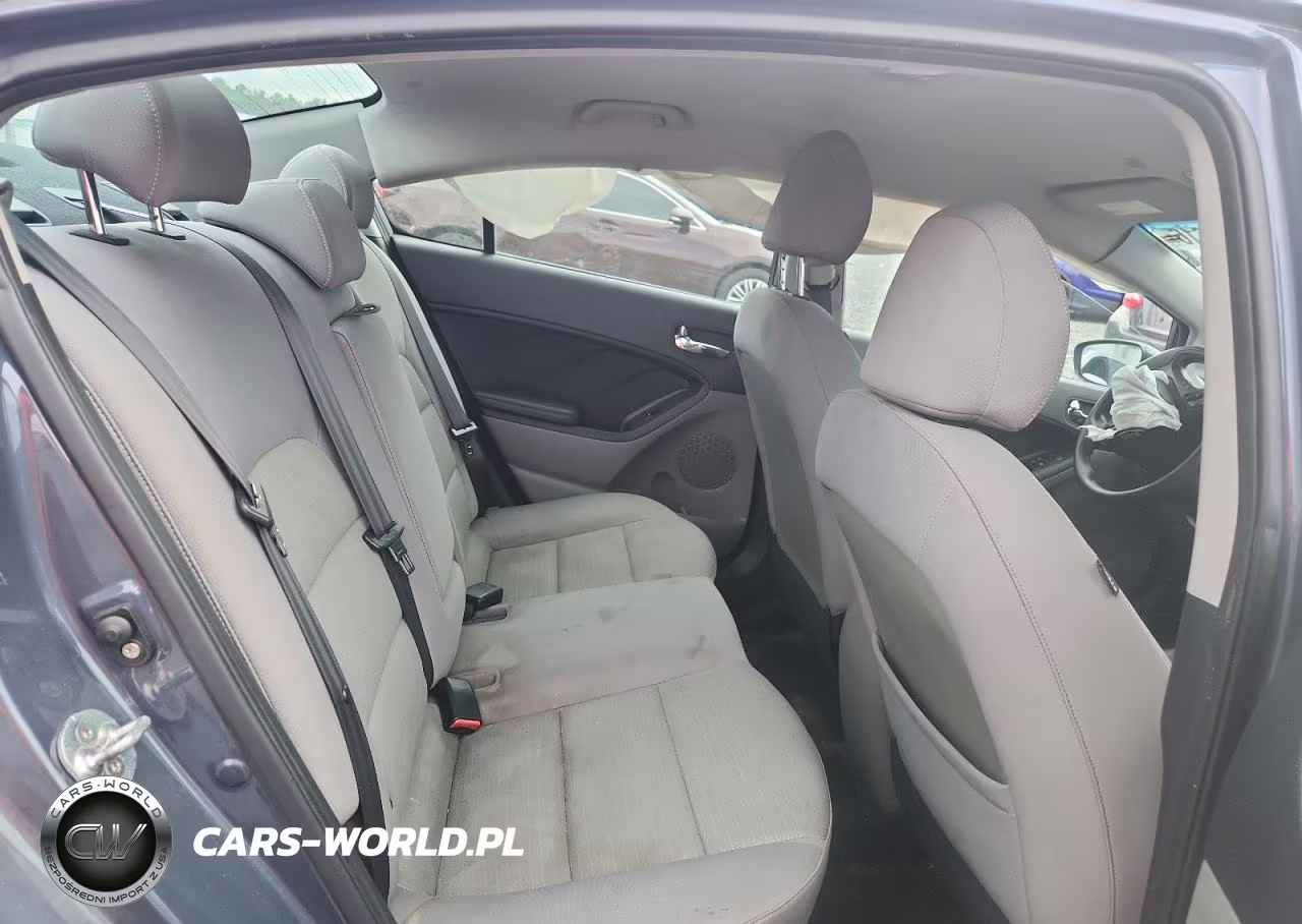 2016 Kia Forte Lx VIN:KNAFX4A64G5552966 - 10
