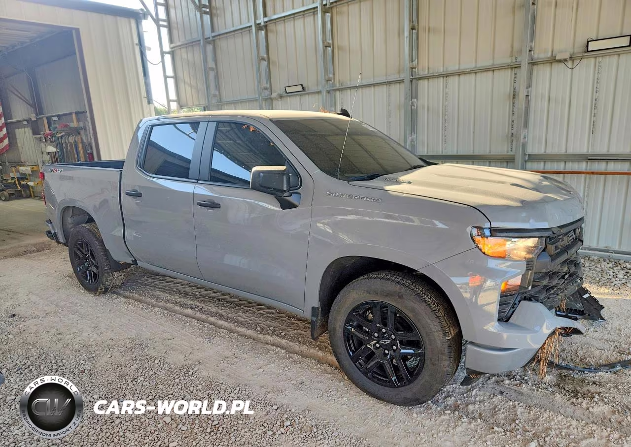 2025 Chevrolet Silverado K1500 Custom VIN:1GCPKBEK6SZ141166 - 4