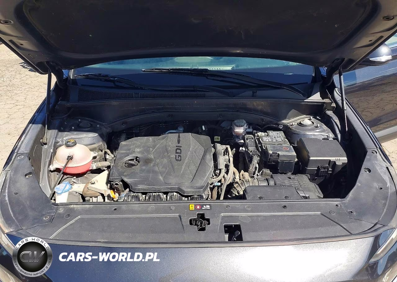 2023 Hyundai Santa Fe Sel VIN:5NMS2DAJ9PH501187 - 12