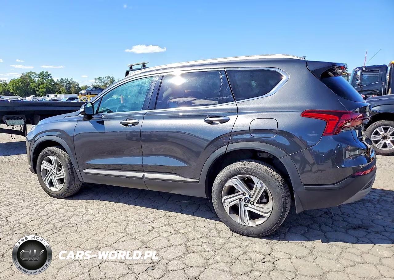 2023 Hyundai Santa Fe Sel VIN:5NMS2DAJ9PH501187 - 2