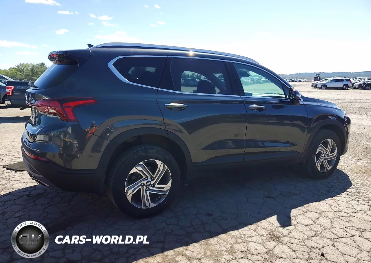 2023 Hyundai Santa Fe Sel VIN:5NMS2DAJ9PH501187 - 3