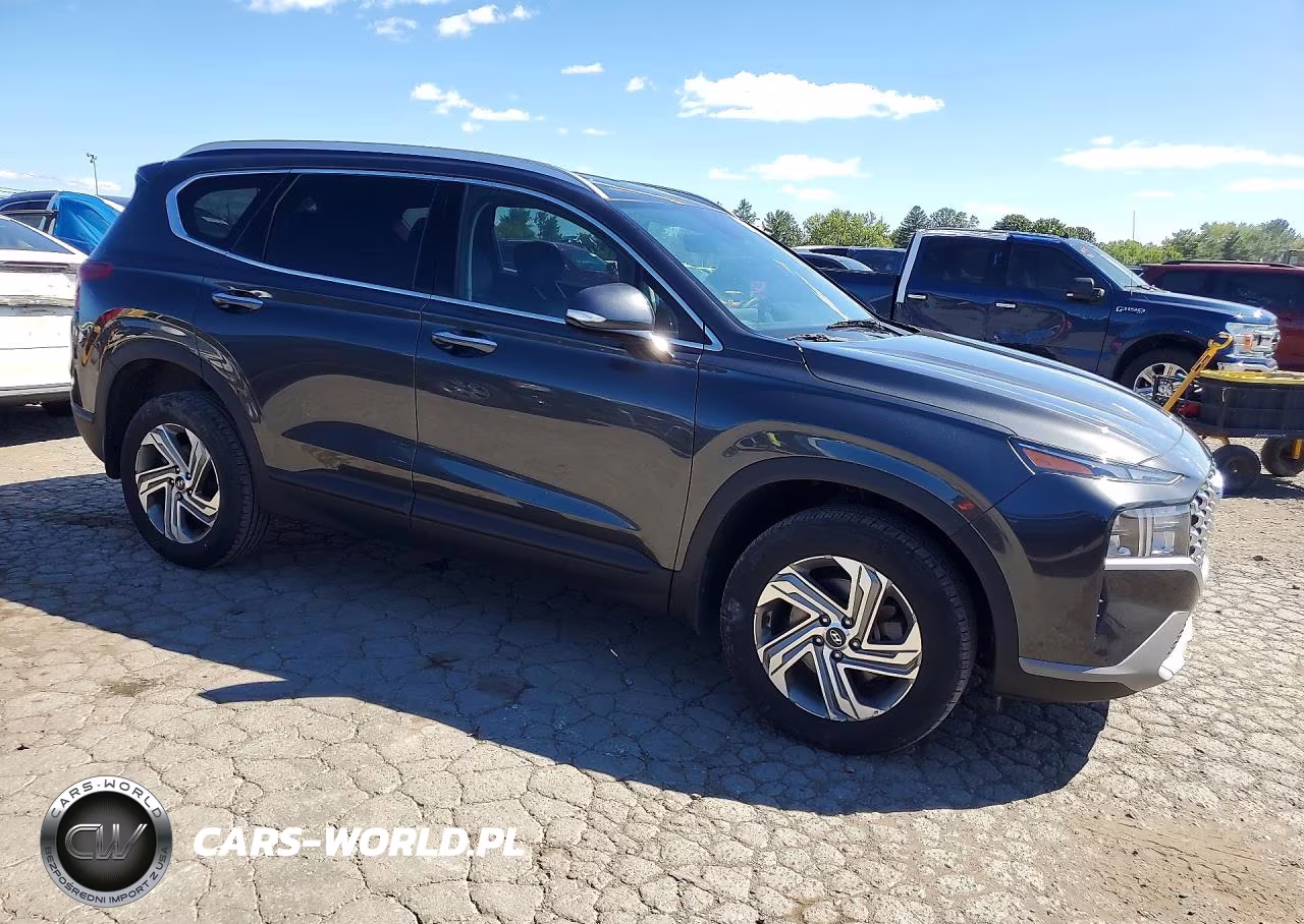2023 Hyundai Santa Fe Sel VIN:5NMS2DAJ9PH501187 - 4