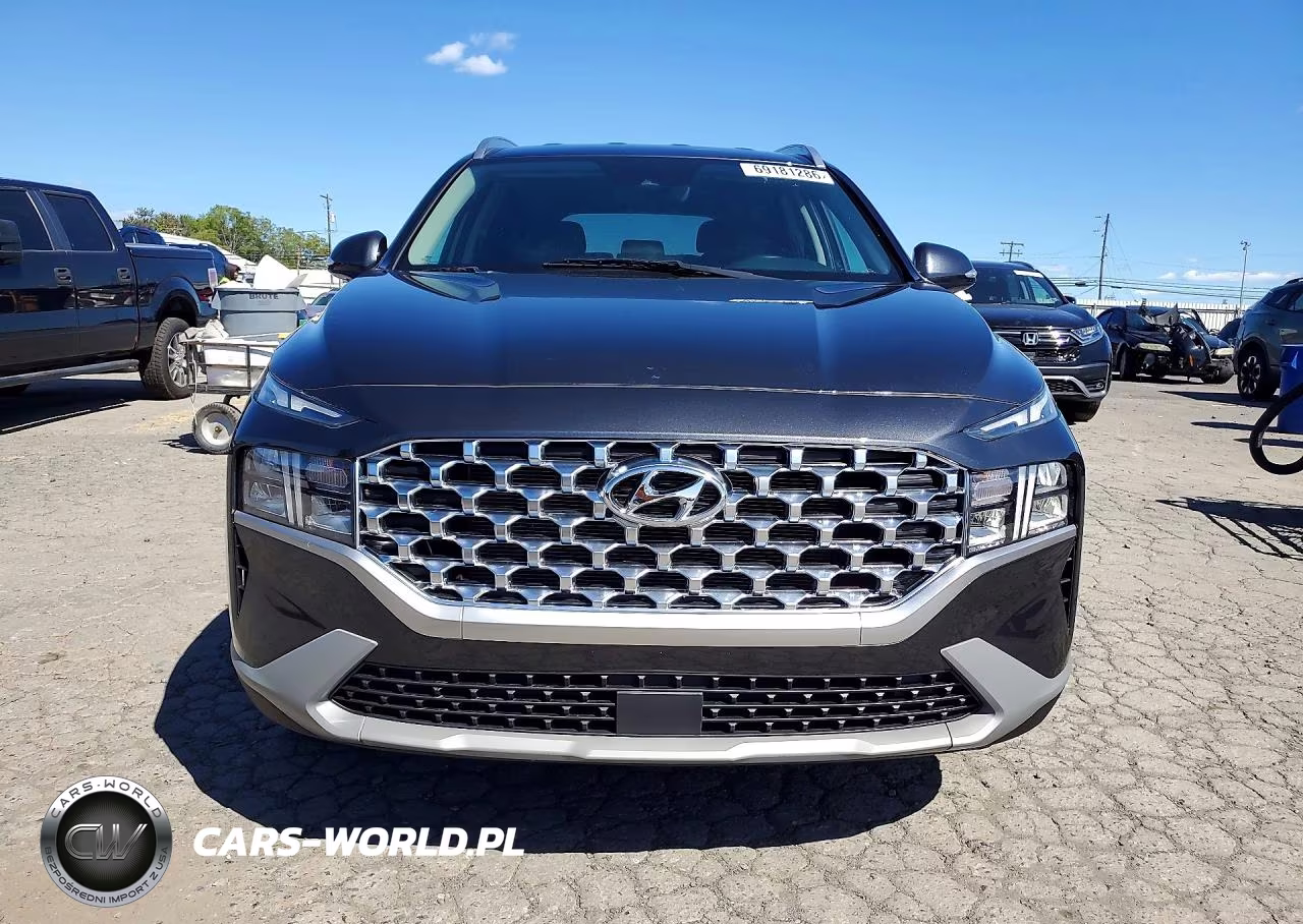 2023 Hyundai Santa Fe Sel VIN:5NMS2DAJ9PH501187 - 5