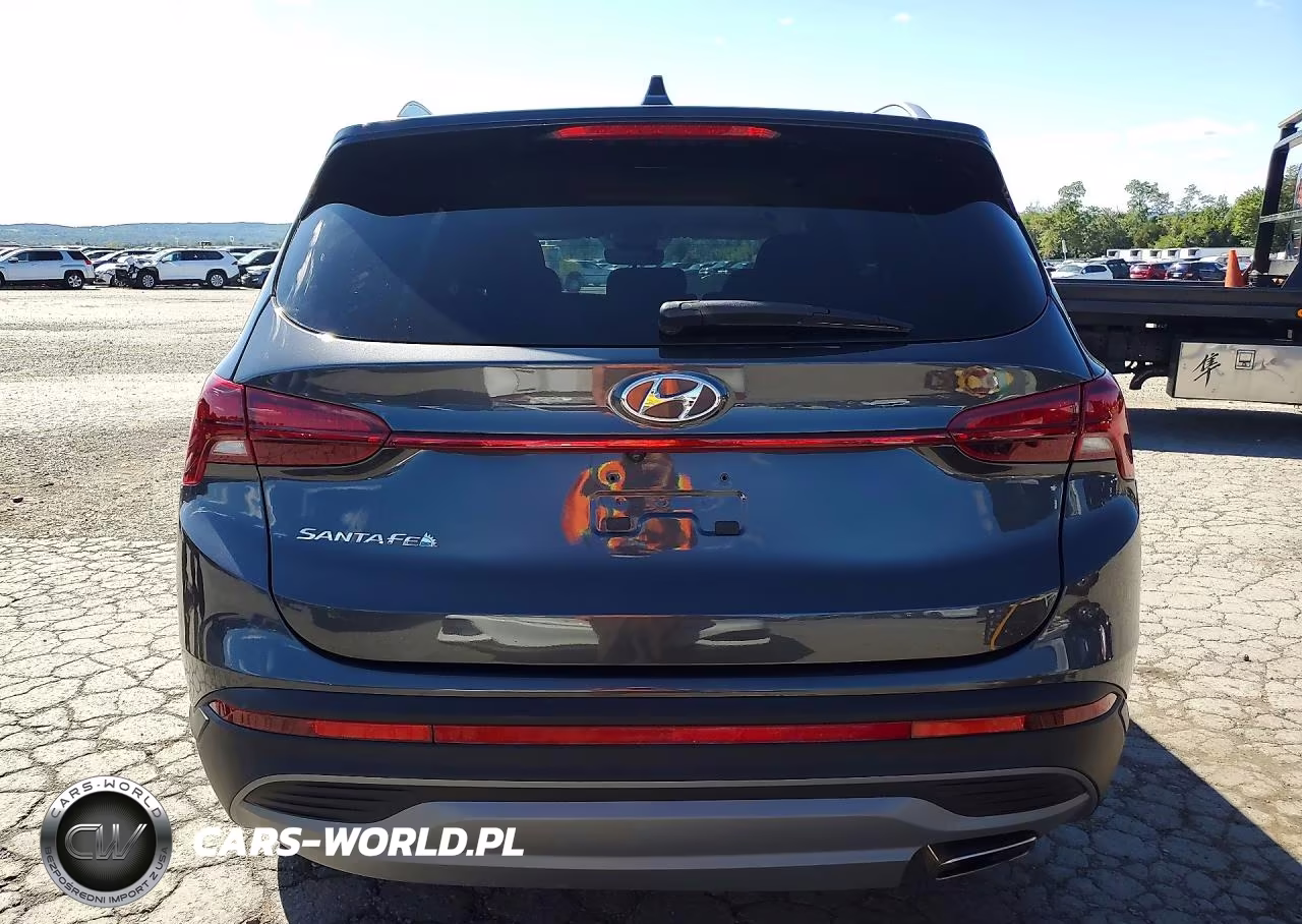 2023 Hyundai Santa Fe Sel VIN:5NMS2DAJ9PH501187 - 6
