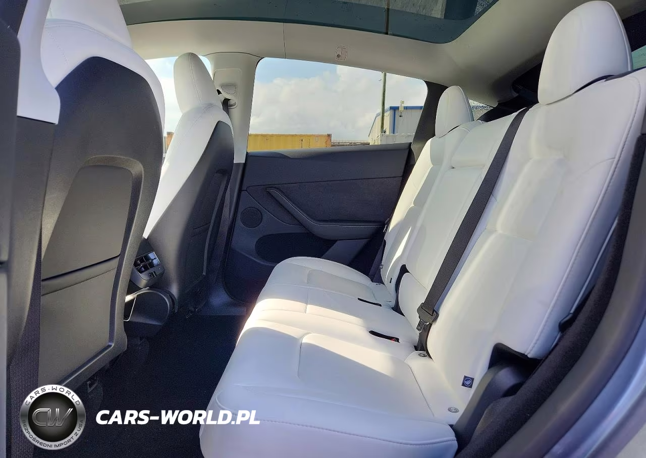 2024 Tesla Model Y VIN:7SAYGDED1RA313347 - 10