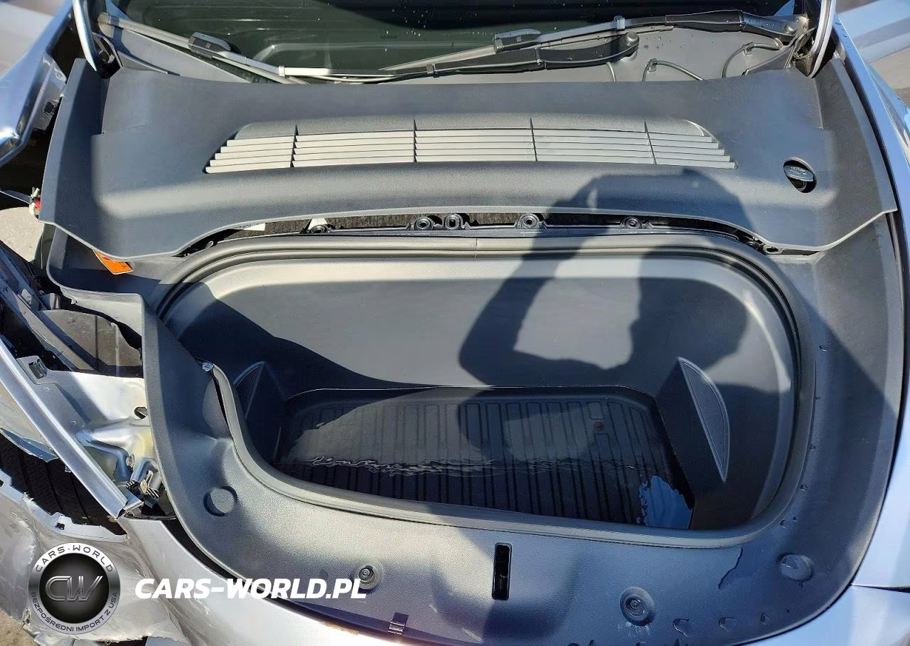 2024 Tesla Model Y VIN:7SAYGDED1RA313347 - 11