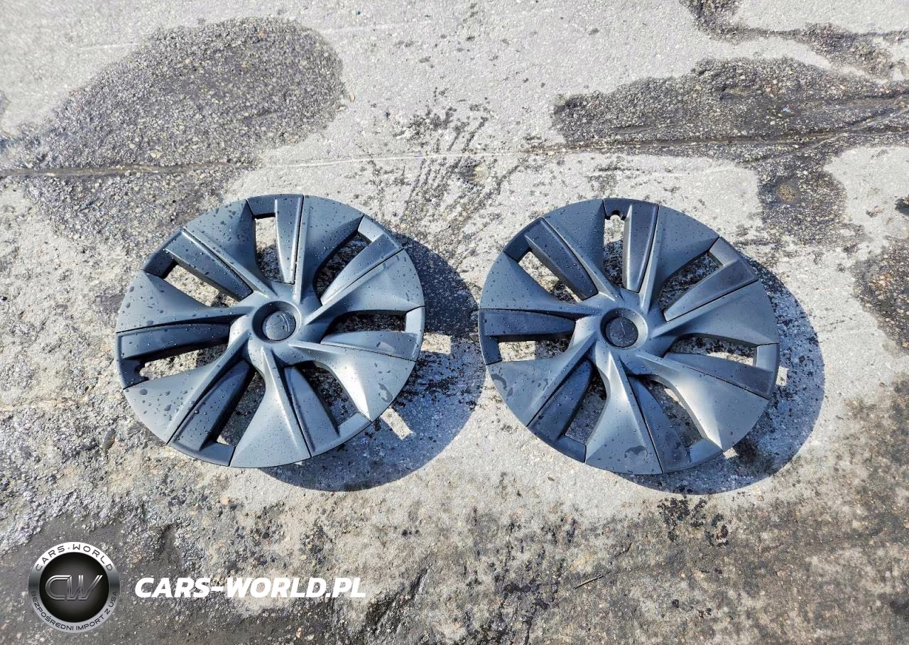 2024 Tesla Model Y VIN:7SAYGDED1RA313347 - 12