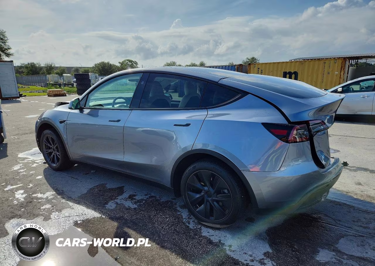 2024 Tesla Model Y VIN:7SAYGDED1RA313347 - 2