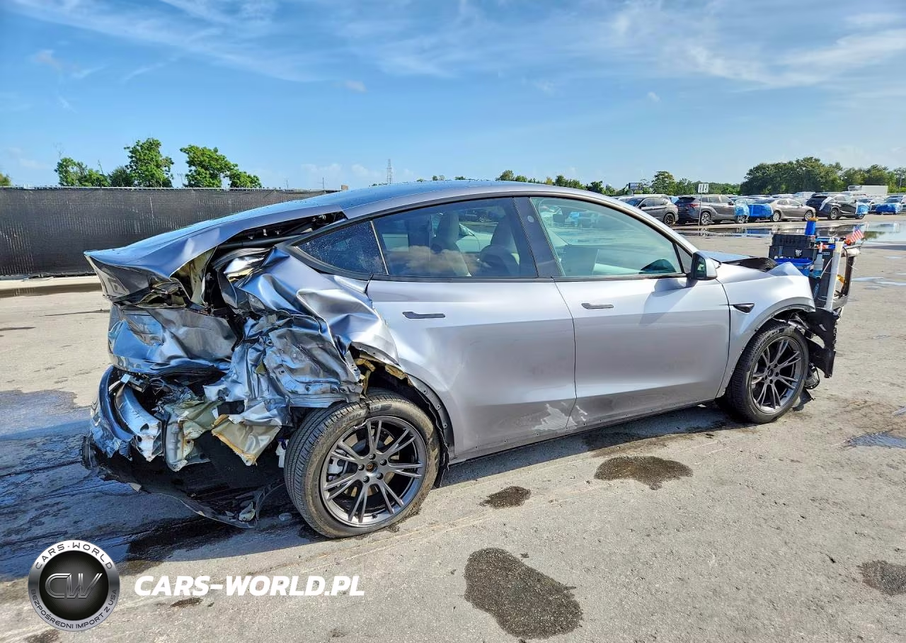 2024 Tesla Model Y VIN:7SAYGDED1RA313347 - 3
