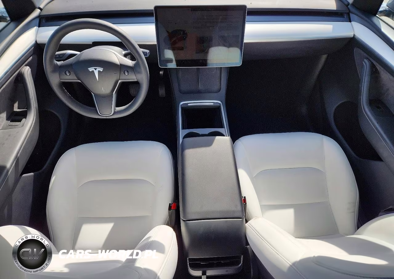 2024 Tesla Model Y VIN:7SAYGDED1RA313347 - 8