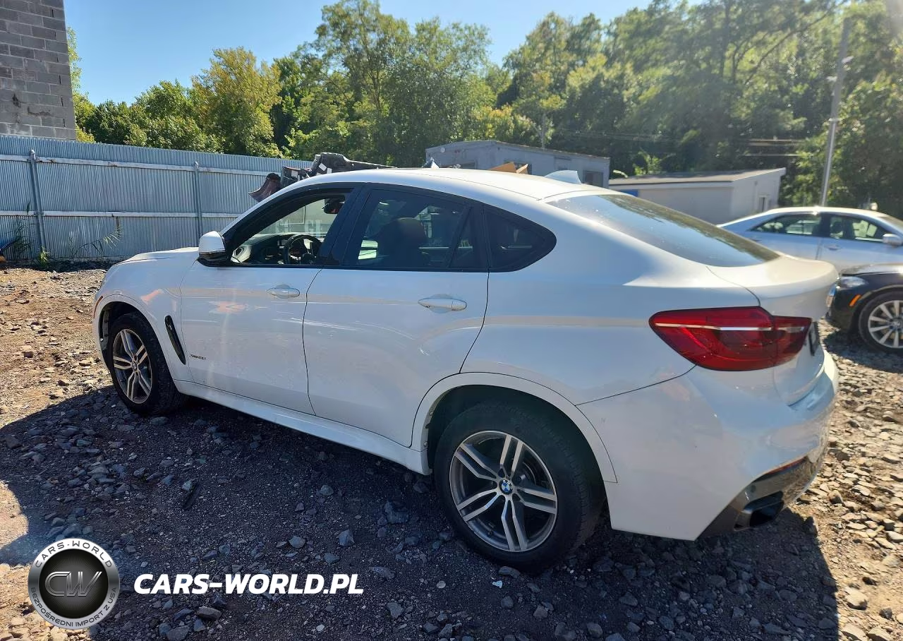 2019 BMW X6 xDrive50I VIN:5UXKU6C50K0Z66809 - 2