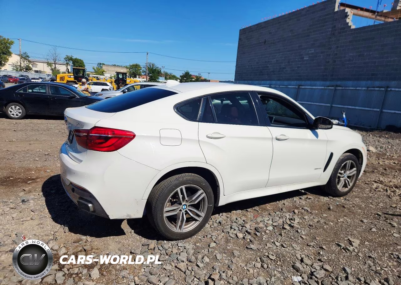 2019 BMW X6 xDrive50I VIN:5UXKU6C50K0Z66809 - 3