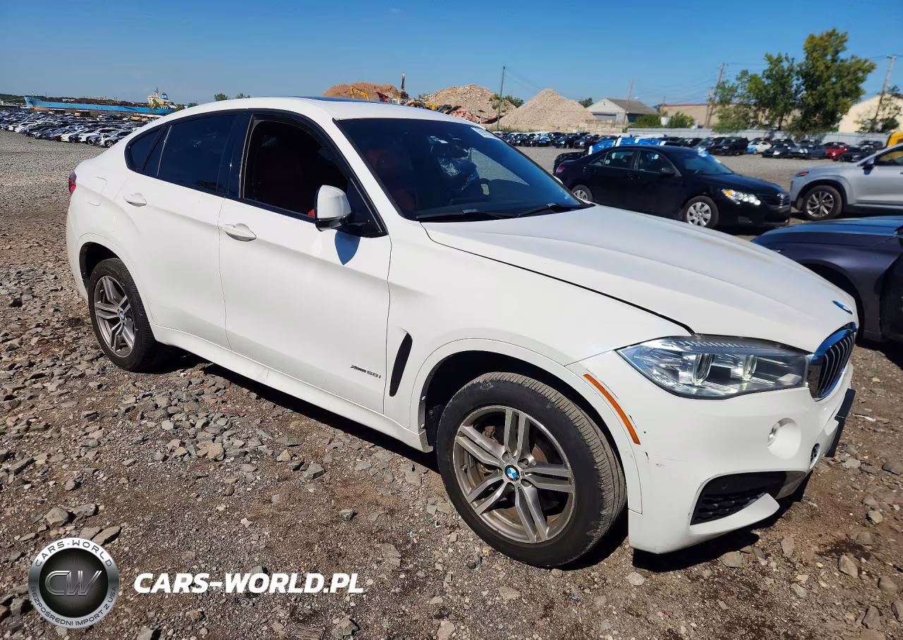2019 BMW X6 xDrive50I VIN:5UXKU6C50K0Z66809 - 4