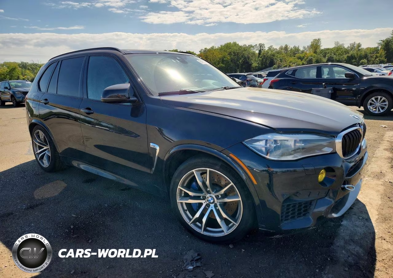 2016 BMW X5 M VIN:5YMKT6C52G0R78916 - 4
