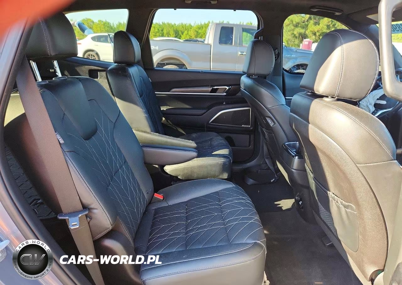 2023 Kia Telluride Sx-Prestige X-Line VIN:5XYP5DGC0PG371235 - 10