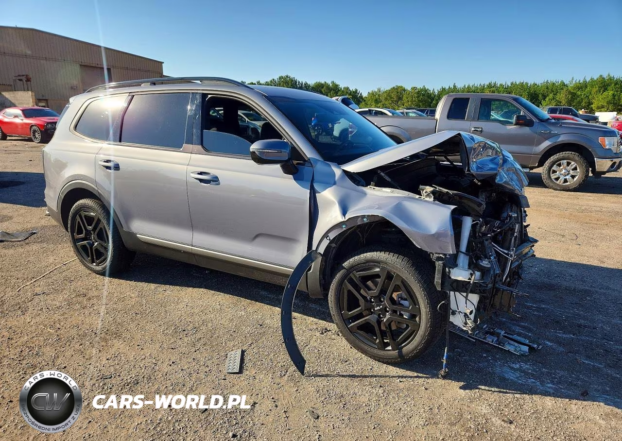 2023 Kia Telluride Sx-Prestige X-Line VIN:5XYP5DGC0PG371235 - 4