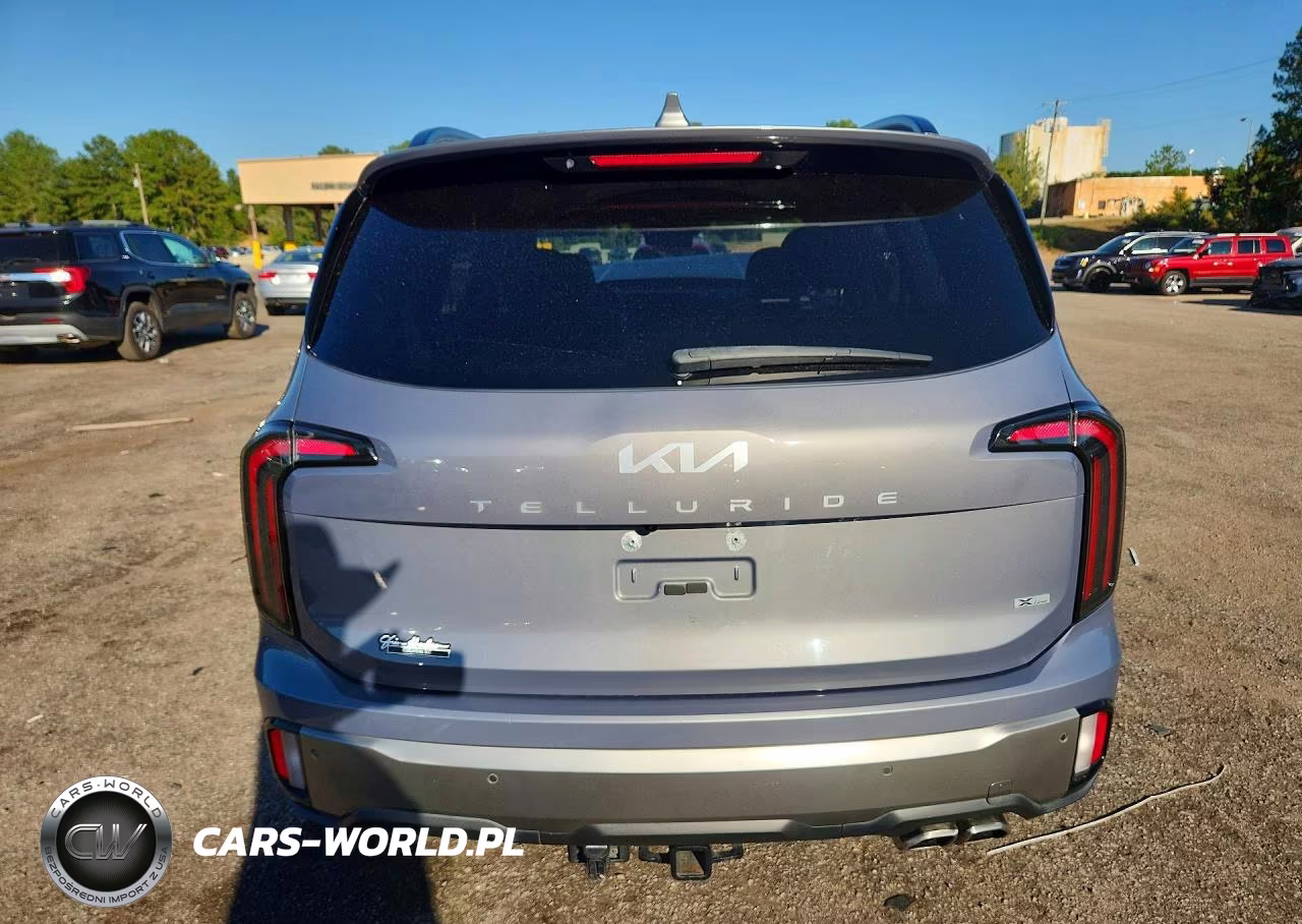 2023 Kia Telluride Sx-Prestige X-Line VIN:5XYP5DGC0PG371235 - 6