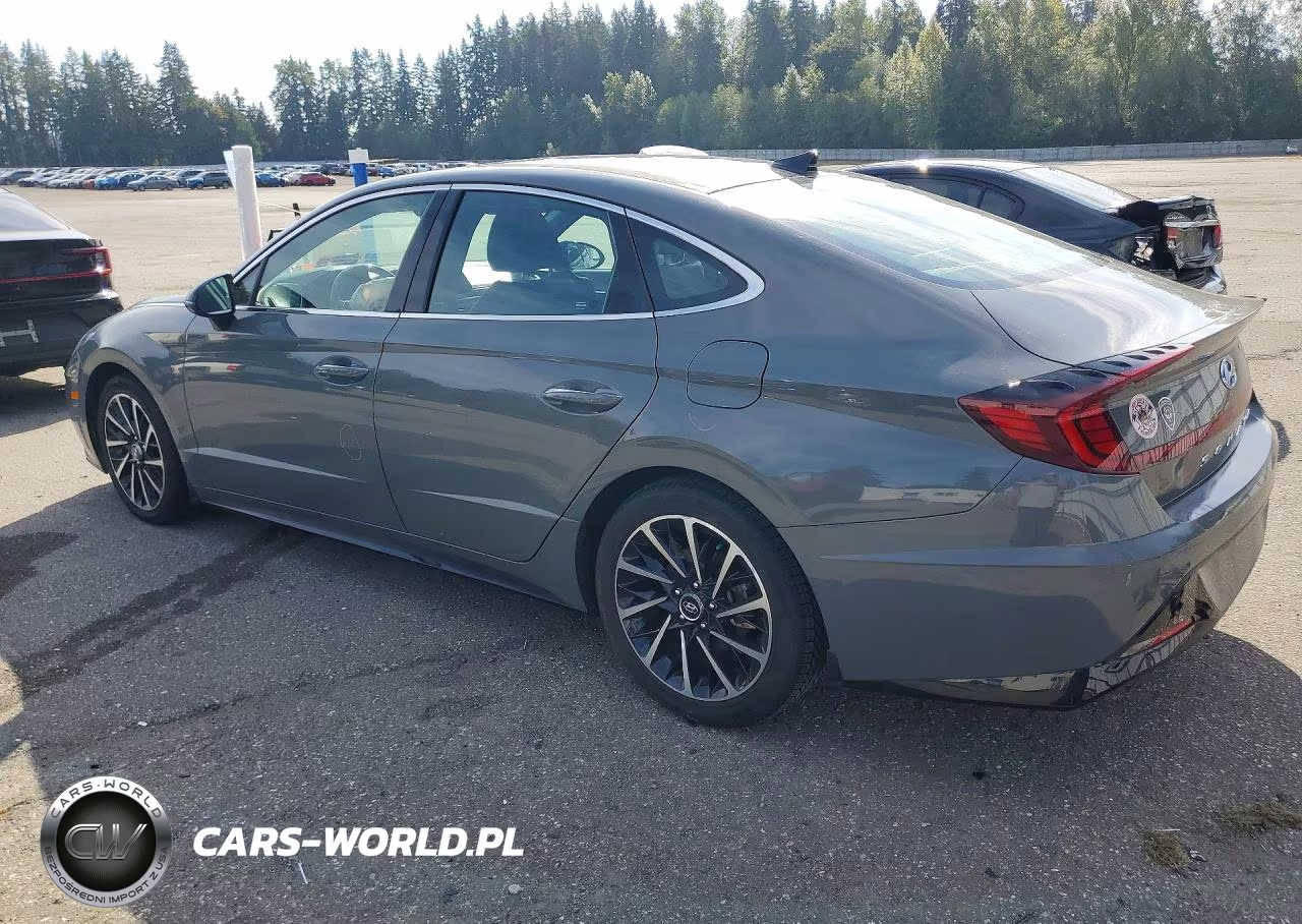 2020 Hyundai Sonata Sel Plus VIN:5NPEJ4J29LH049456 - 2