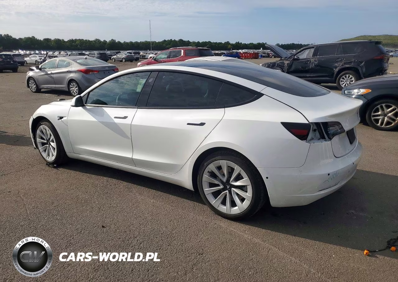 2022 Tesla Model 3 VIN:5YJ3E1EBXNF253608 - 2