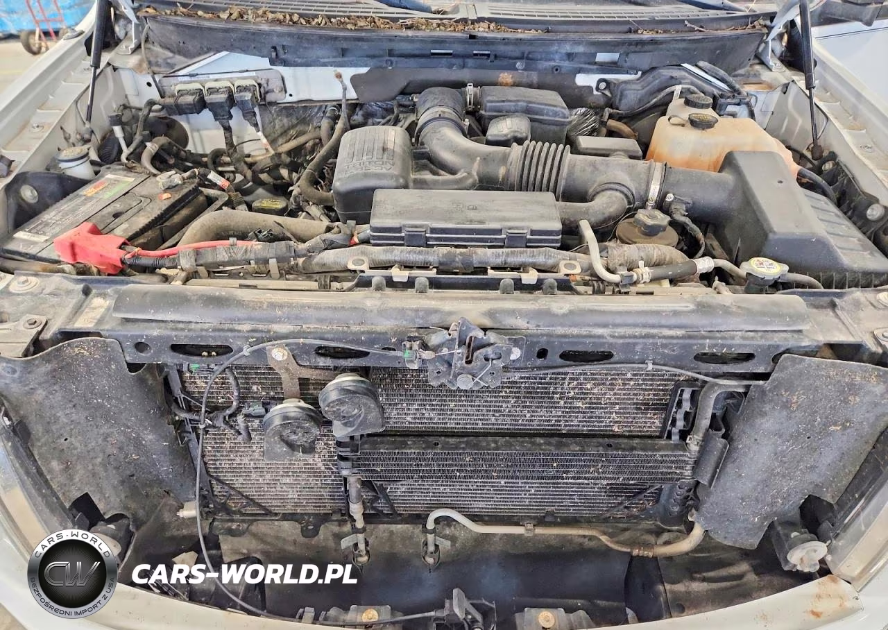 2010 Ford F150 Supercrew VIN:1FTFW1EV1AKA19231 - 11