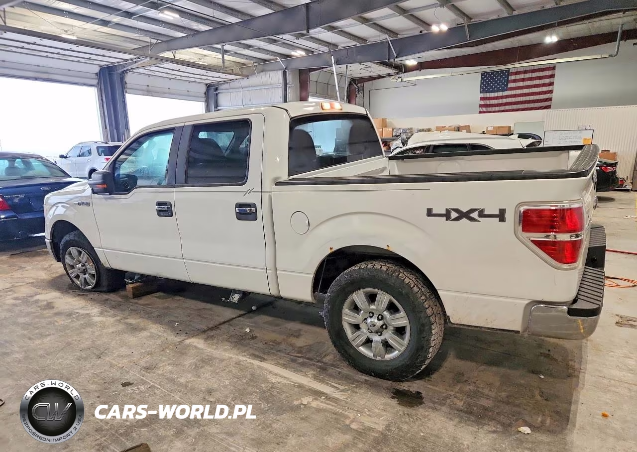 2010 Ford F150 Supercrew VIN:1FTFW1EV1AKA19231 - 2