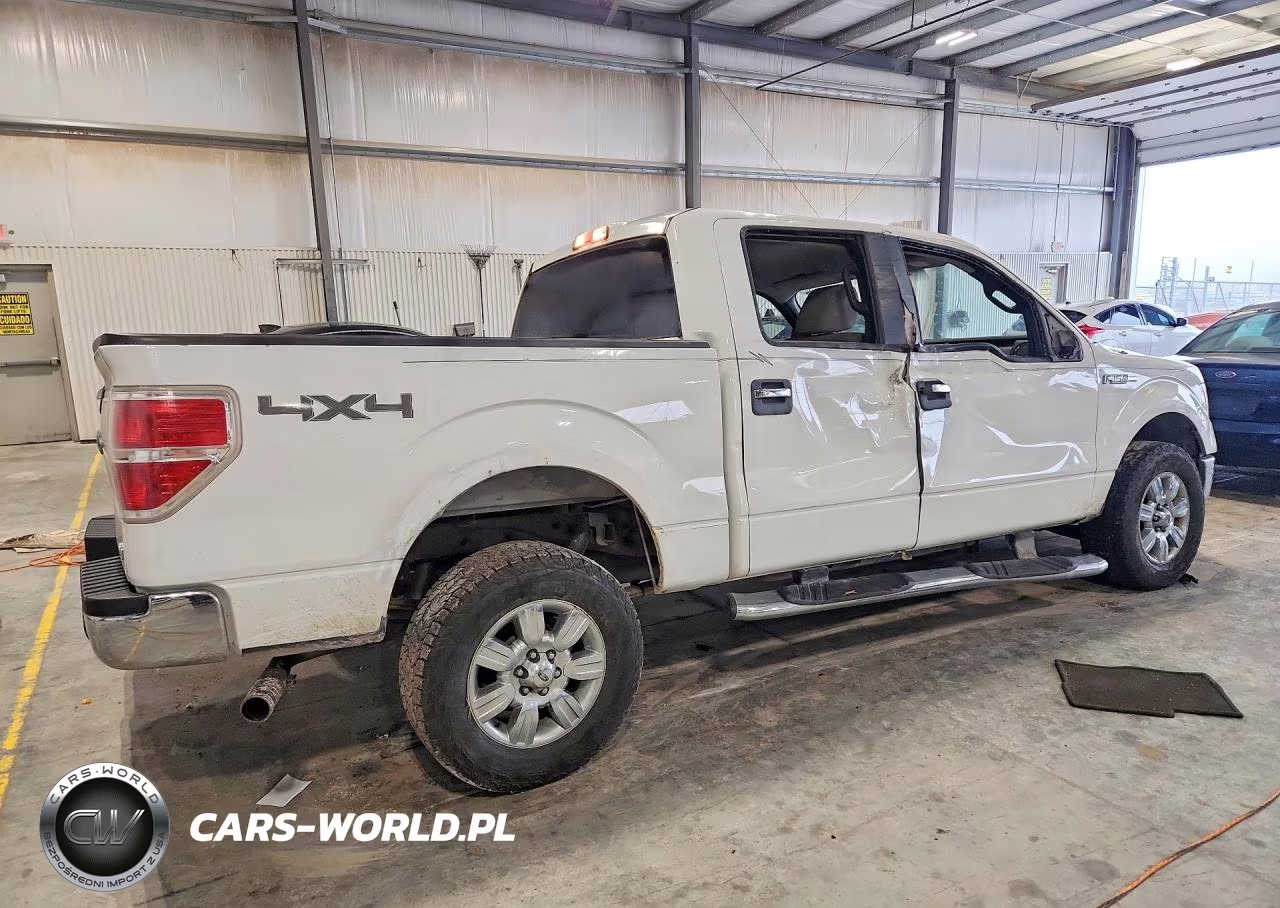 2010 Ford F150 Supercrew VIN:1FTFW1EV1AKA19231 - 3