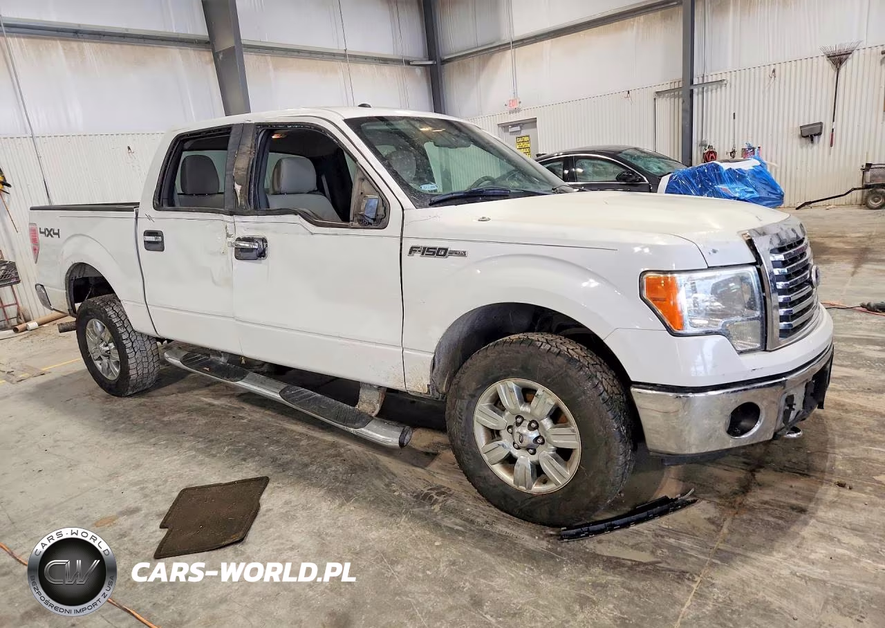 2010 Ford F150 Supercrew VIN:1FTFW1EV1AKA19231 - 4