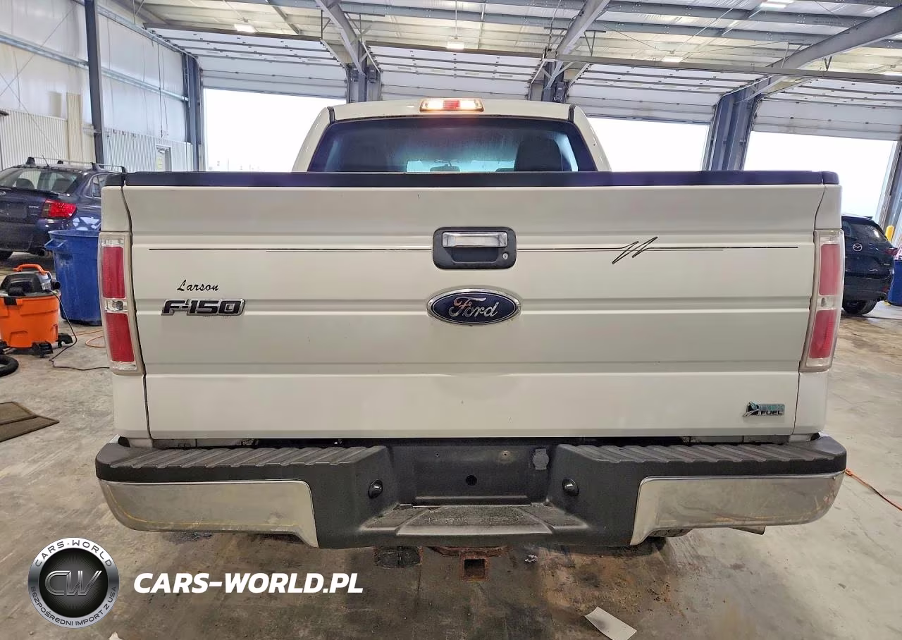 2010 Ford F150 Supercrew VIN:1FTFW1EV1AKA19231 - 6