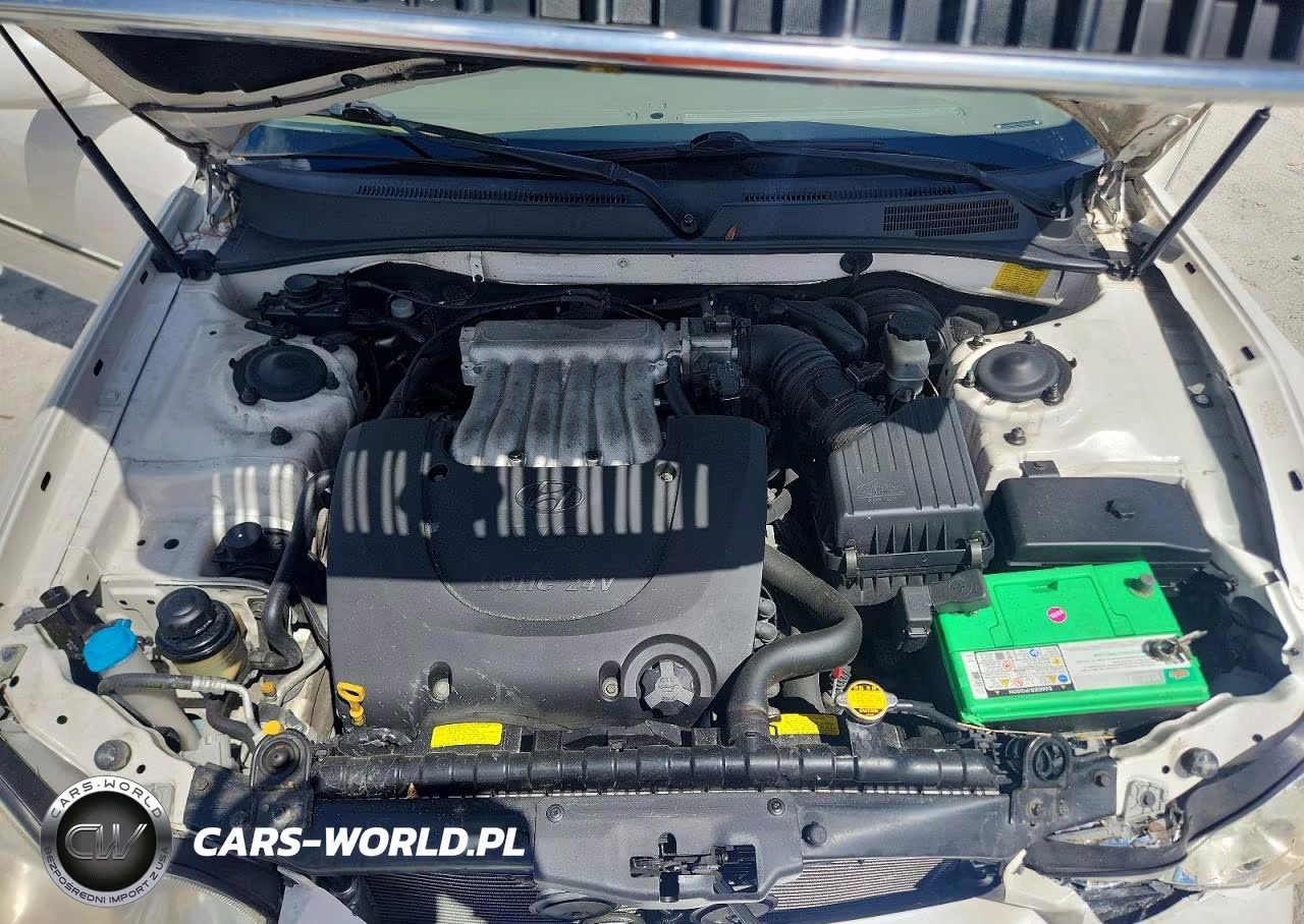2003 Hyundai Sonata Gls VIN:KMHWF35H03A900853 - 11