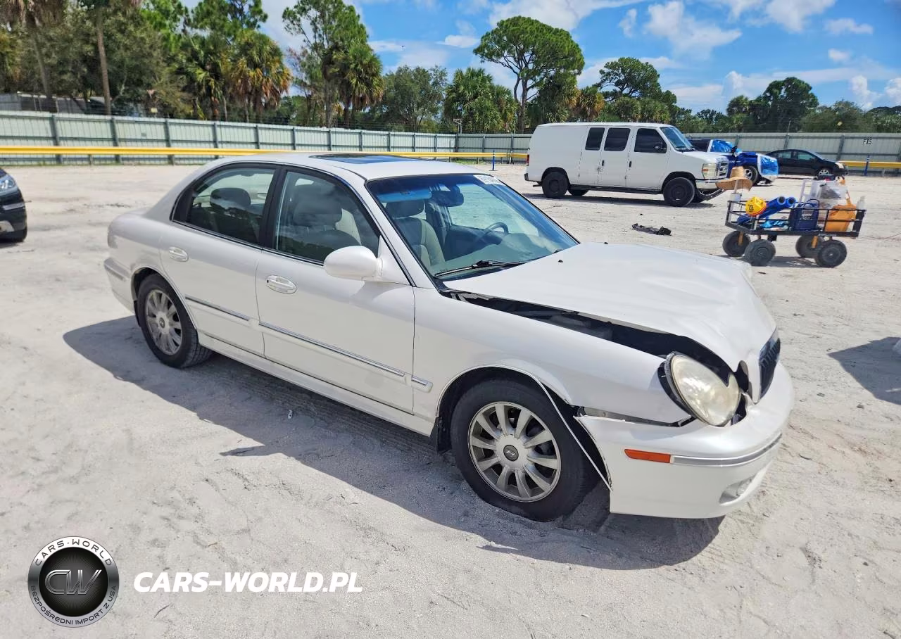 2003 Hyundai Sonata Gls VIN:KMHWF35H03A900853 - 4