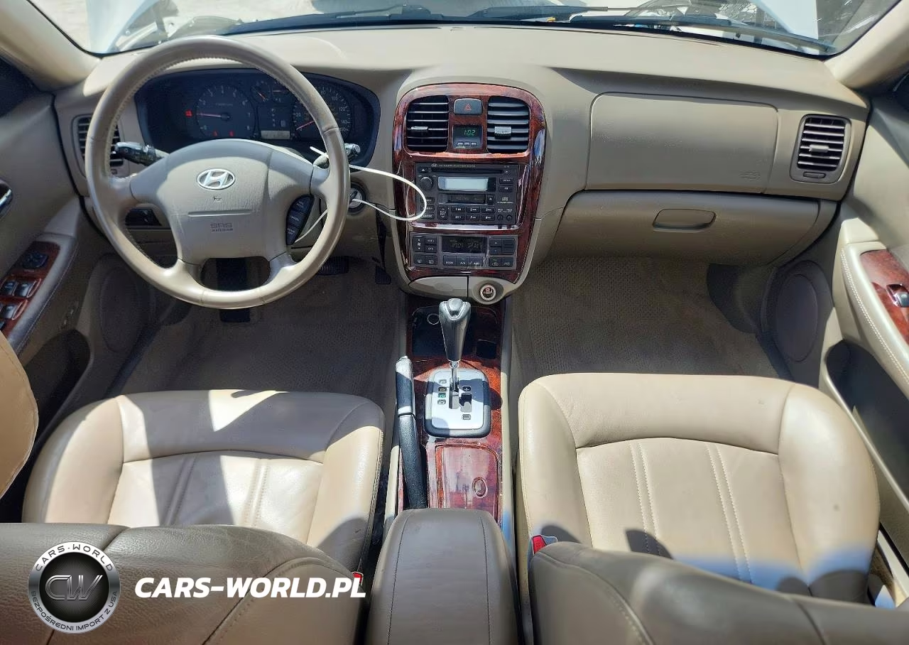 2003 Hyundai Sonata Gls VIN:KMHWF35H03A900853 - 8