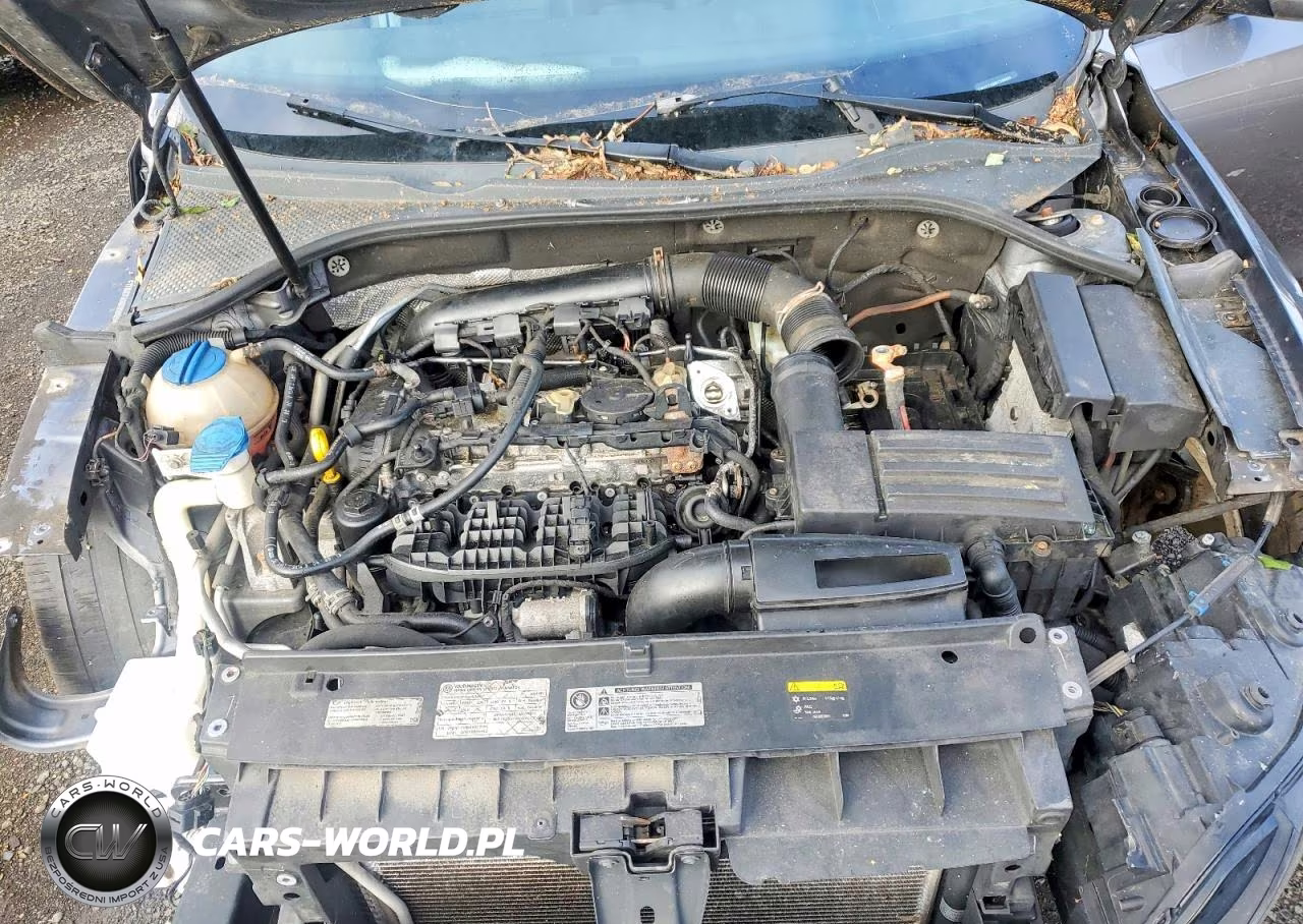 2014 Volkswagen Passat S VIN:1VWAT7A39EC099689 - 11
