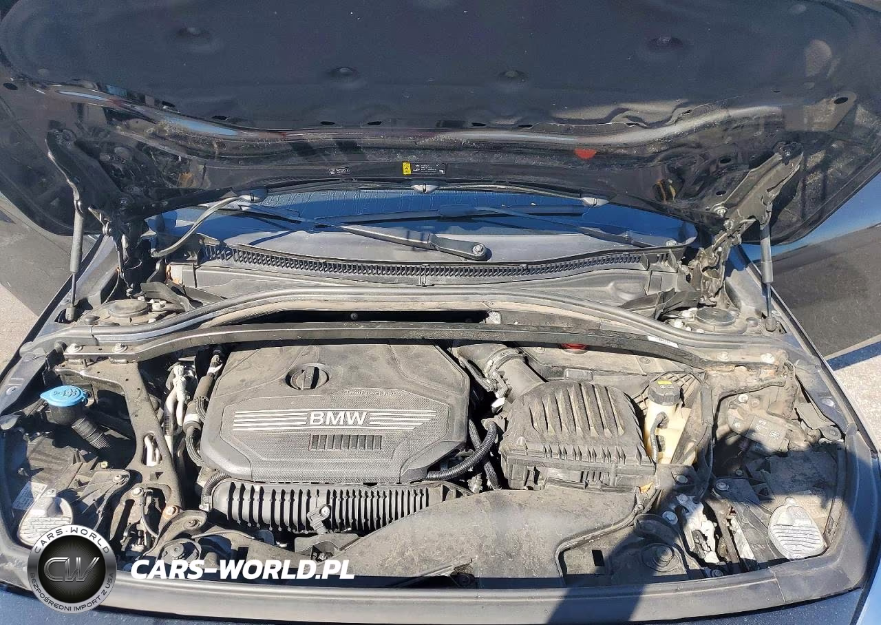 2020 BMW 228Xi VIN:WBA73AK04L7F67512 - 11
