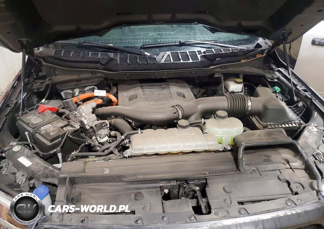 2023 Ford F150 Supercrew VIN:1FTFW1EDXPFB74398 - 11